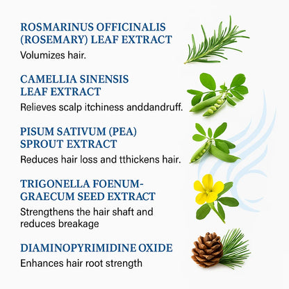 Rosemary Hair Growth Roll-On Serum
